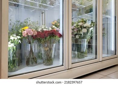 can i put flowers in the fridge? In this context, let’s delve into why and how we can incorporate flowers into our refrigerators or other household appliances, exploring both practical and unconventional uses.