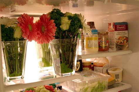 do flowers stay fresh in the fridge