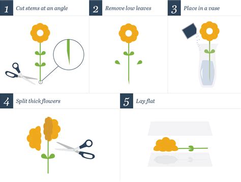 How to Press Dead Flowers: A Metaphorical Exploration of Preserving Moments in Time